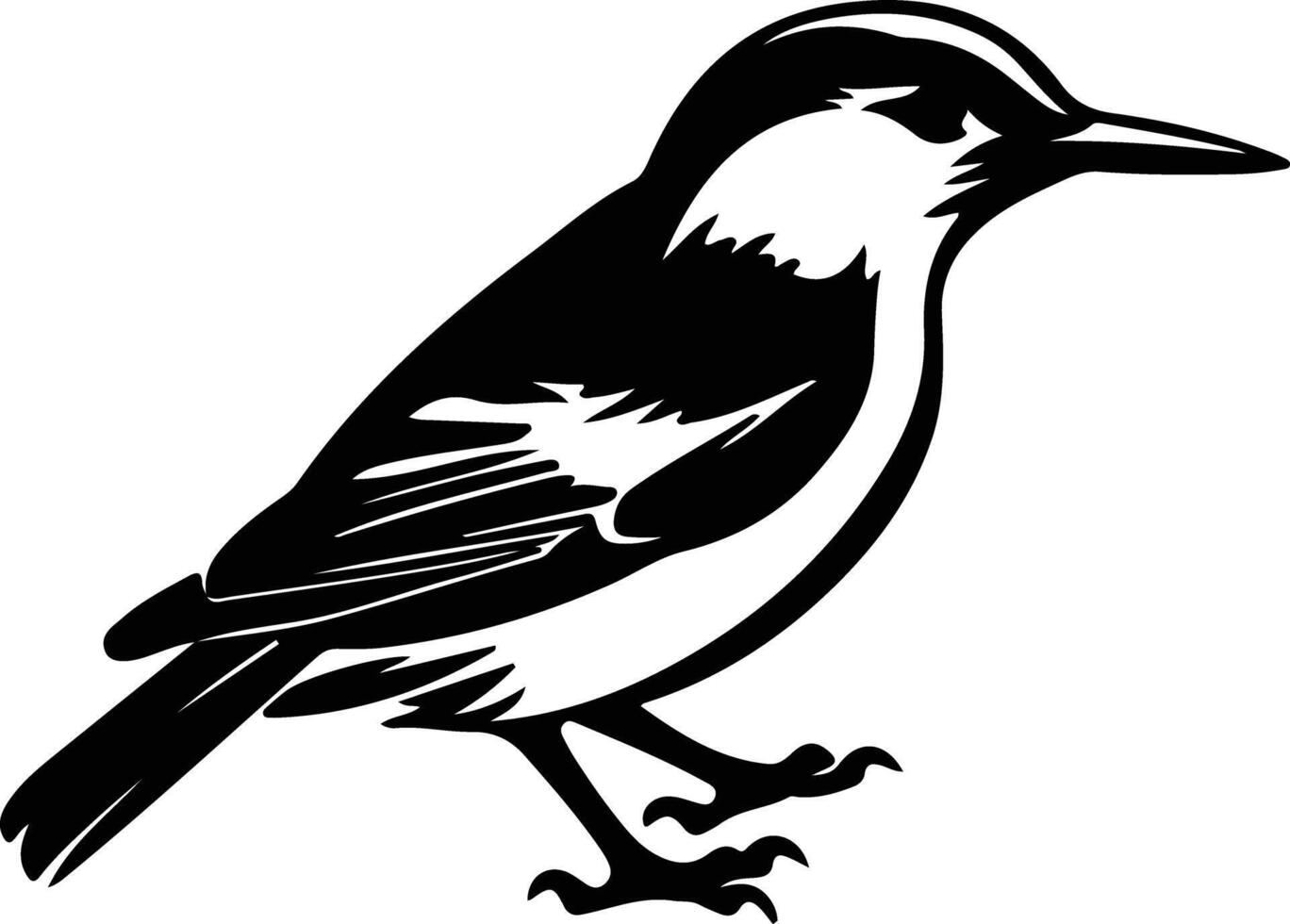 nuthatch black silhouette vector