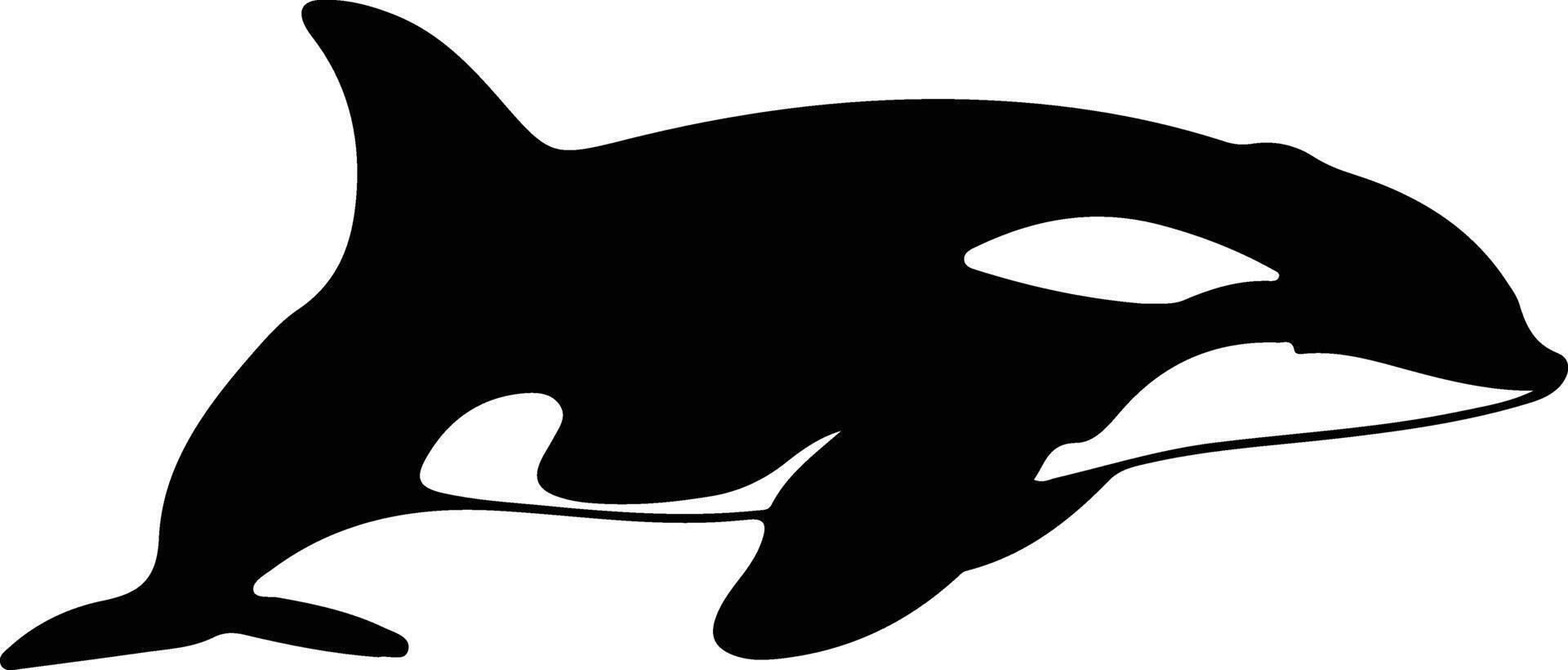 orca negro silueta vector