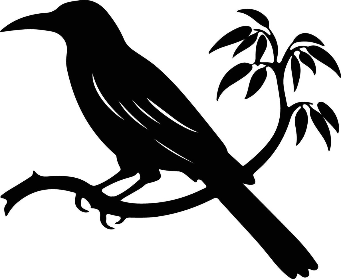 oropendola black silhouette vector