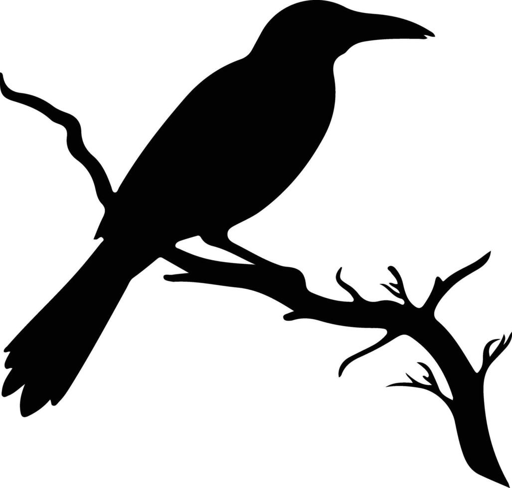 oropendola black silhouette vector