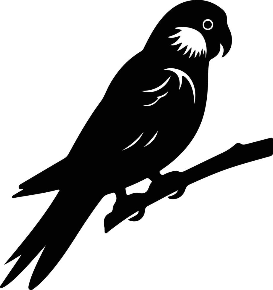 perico negro silueta vector