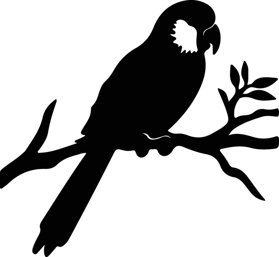 parakeet black silhouette vector