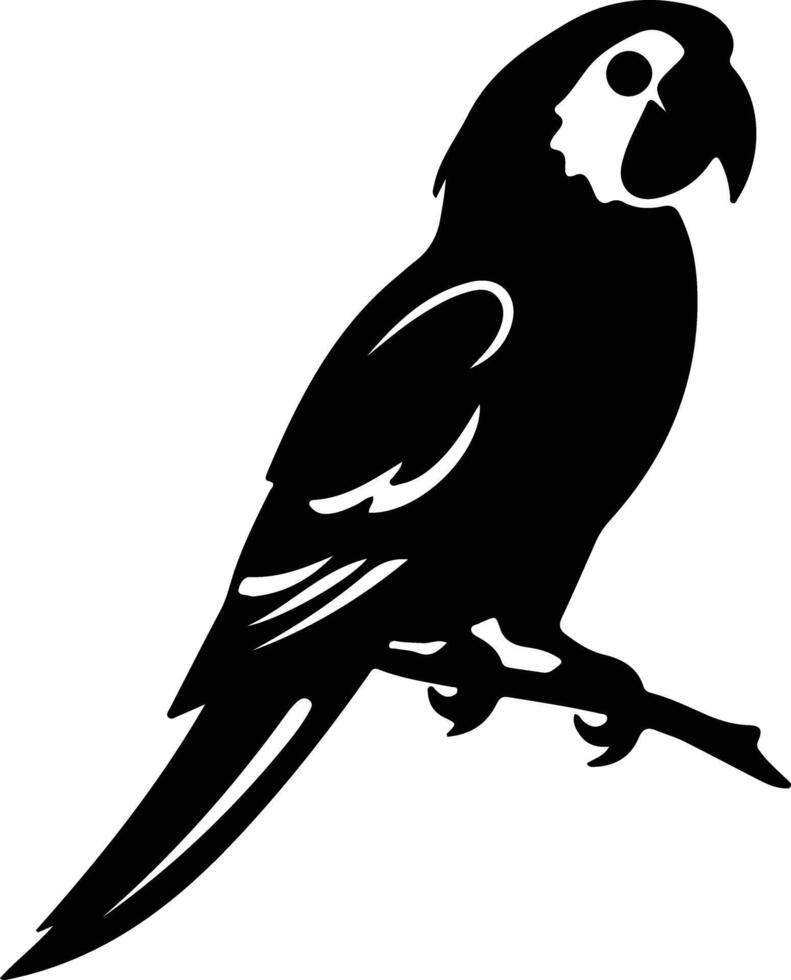 loro negro silueta vector