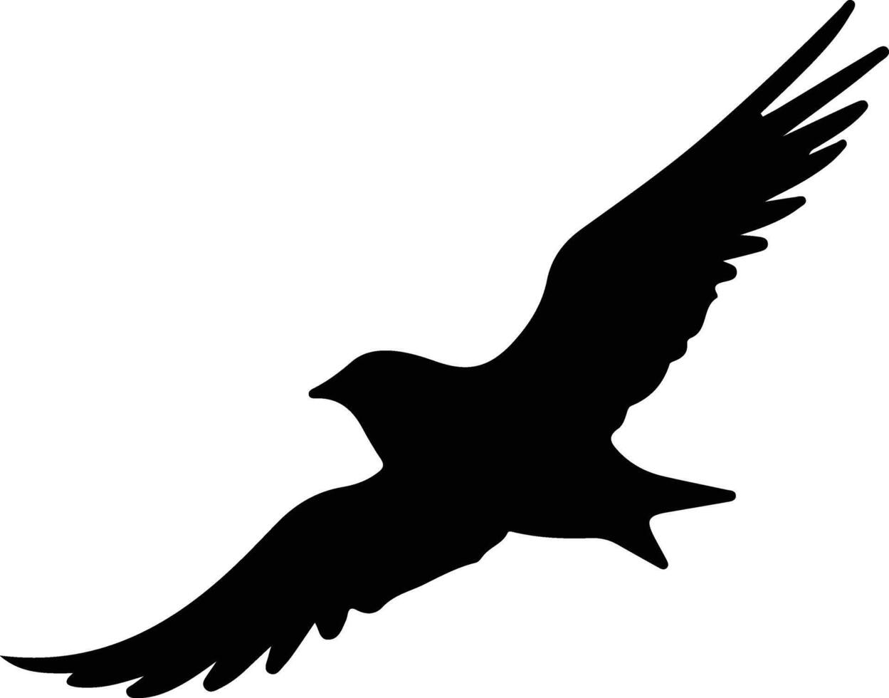 petrel black silhouette vector