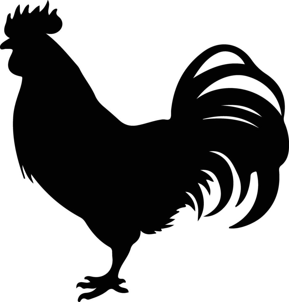 Rhode Island red  black silhouette vector