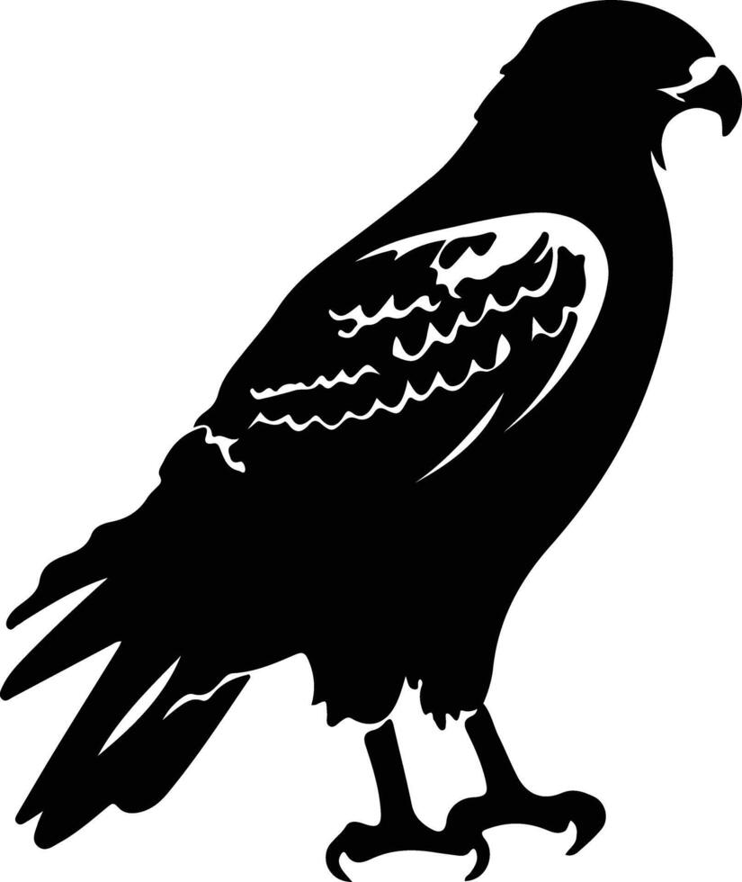 red-tailed hawk  black silhouette vector