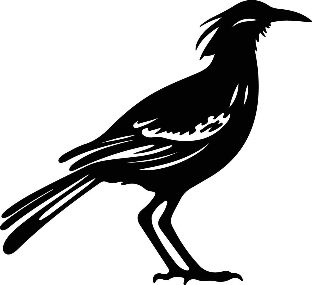 roadrunner  black silhouette vector