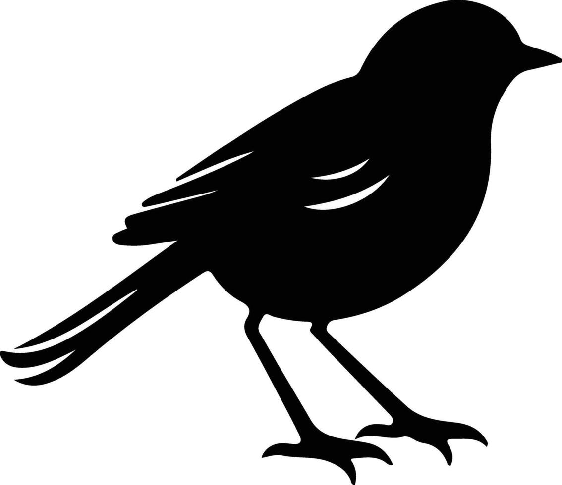 robin  black silhouette vector
