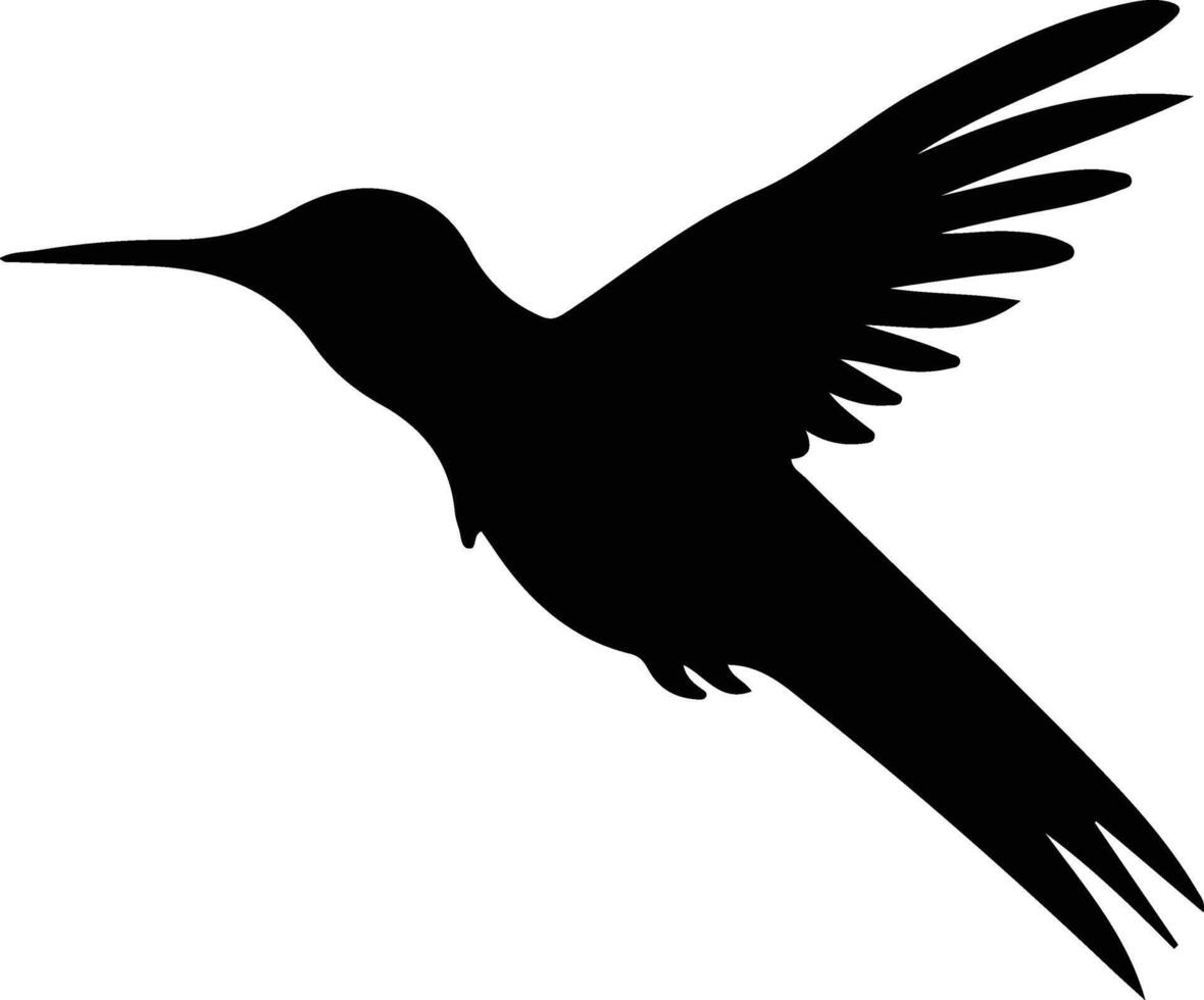 garganta de rubí colibrí negro silueta vector
