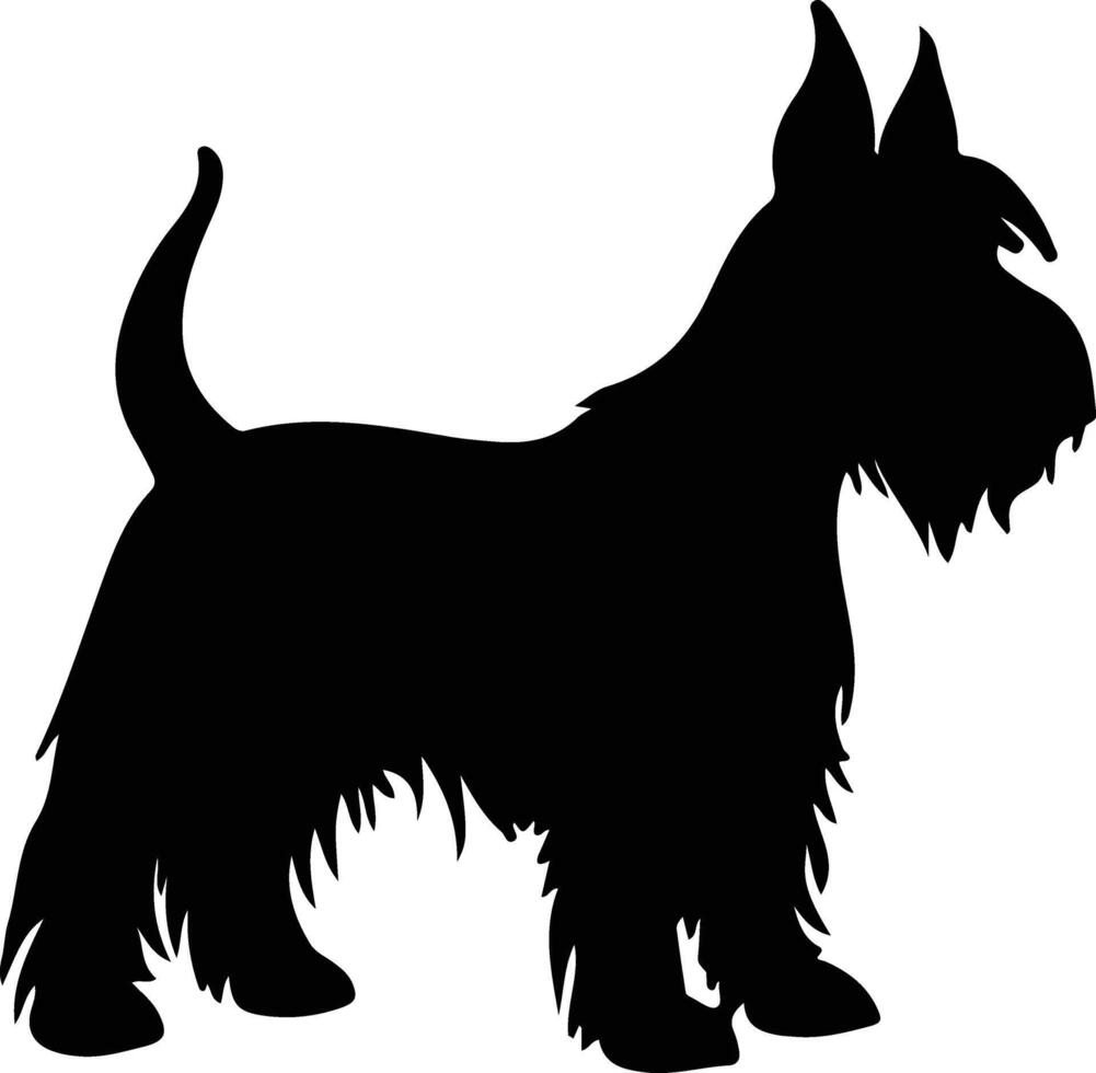 Scottish Terrier   black silhouette vector