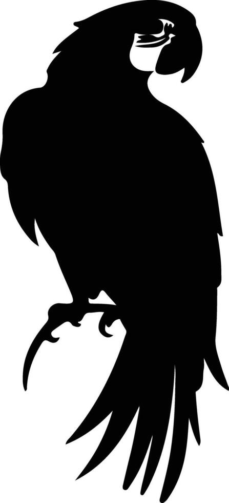 scarlet macaw  black silhouette vector