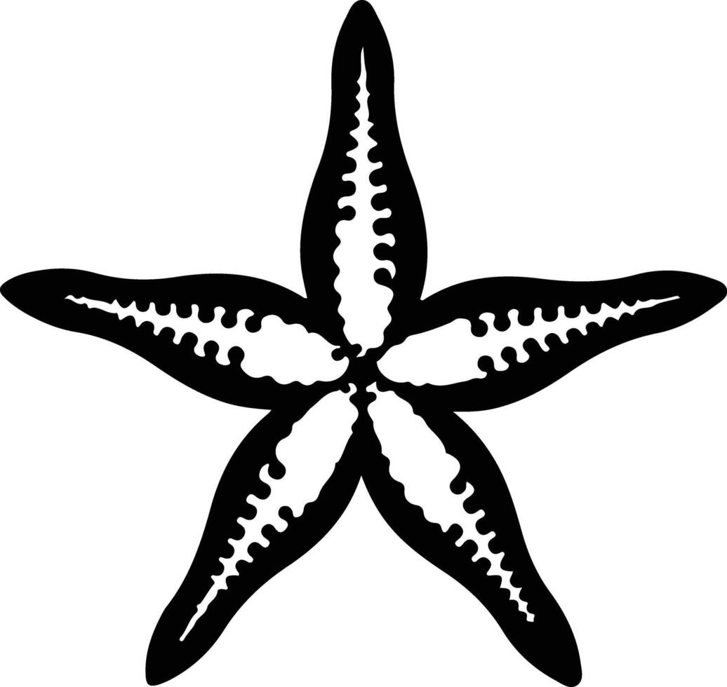 sea star  black silhouette vector
