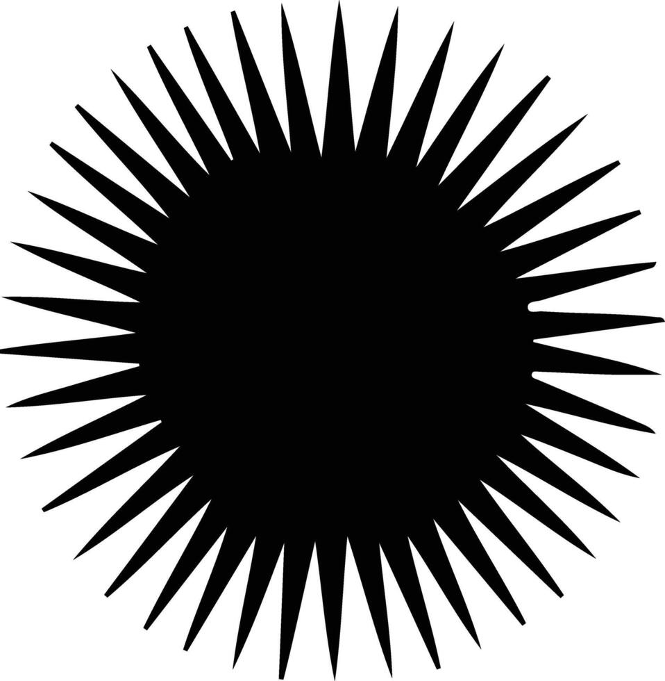 sea urchin  black silhouette vector