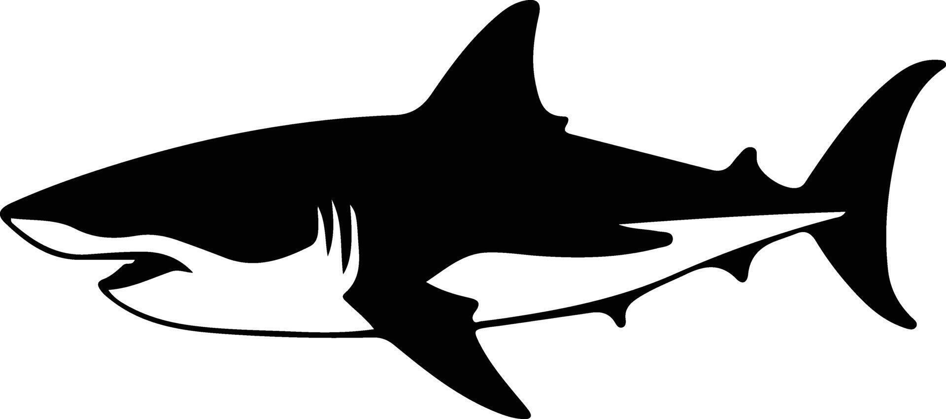 shark  black silhouette vector
