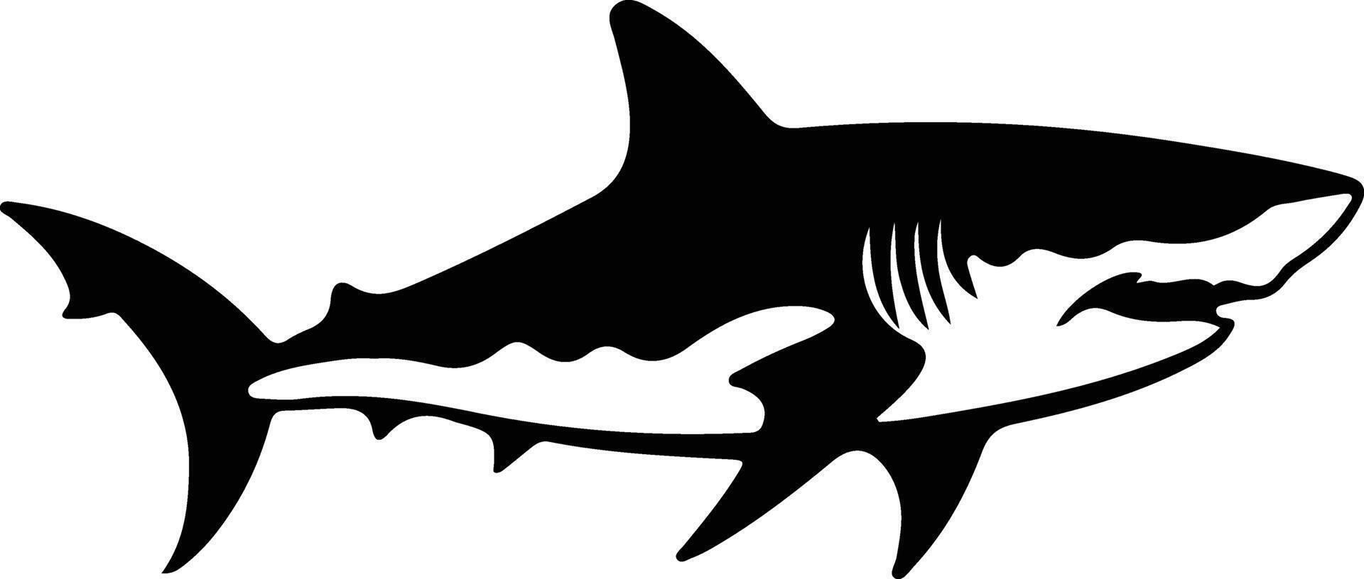 tiger shark  black silhouette vector