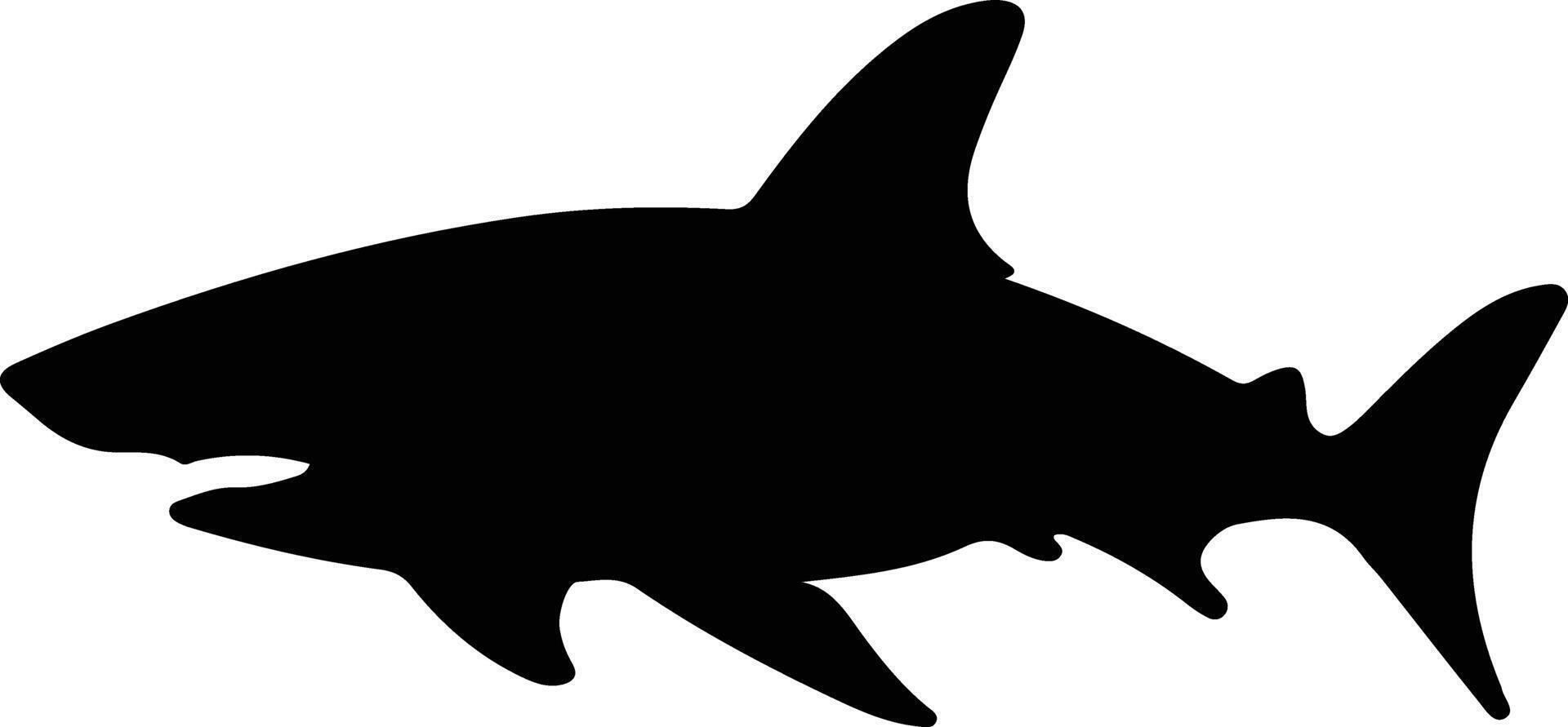 Port Jackson shark  black silhouette vector