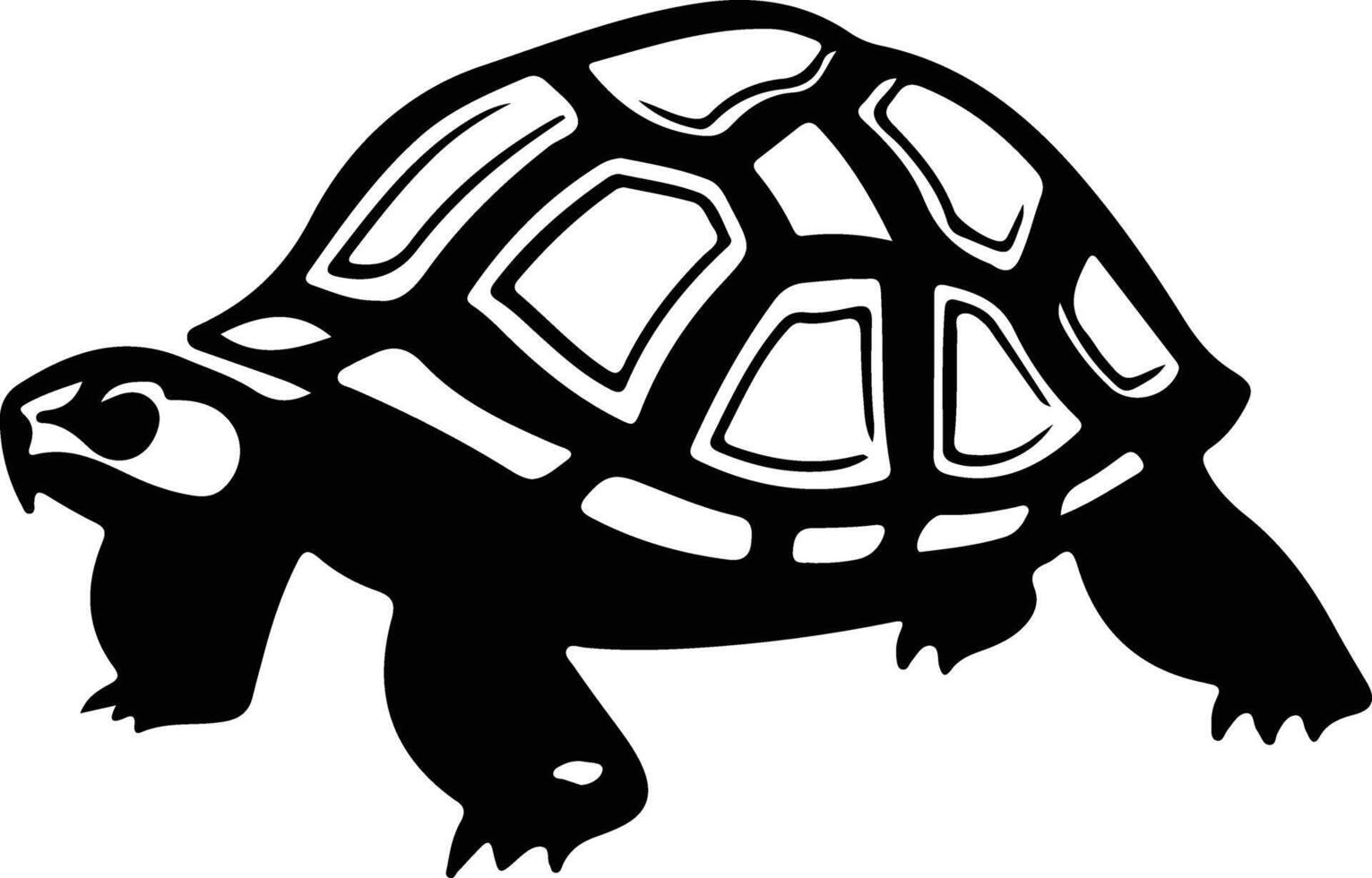 ploughshare tortoise  black silhouette vector