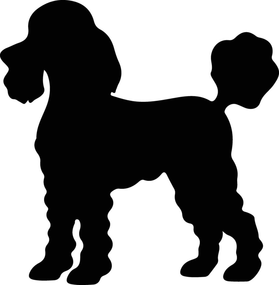 caniche negro silueta vector