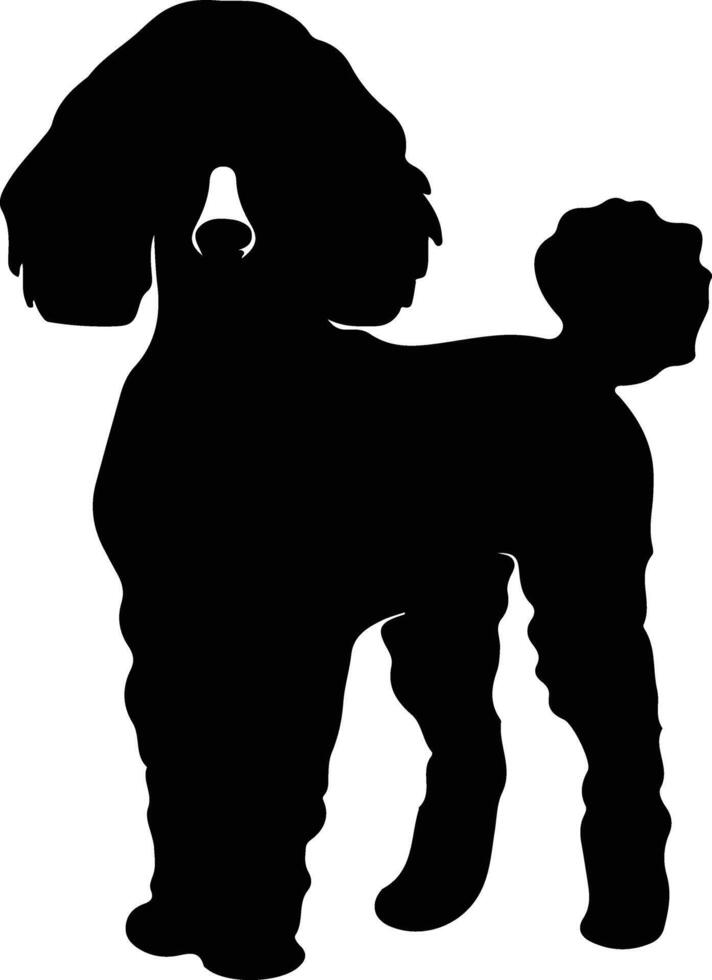 poodle  black silhouette vector