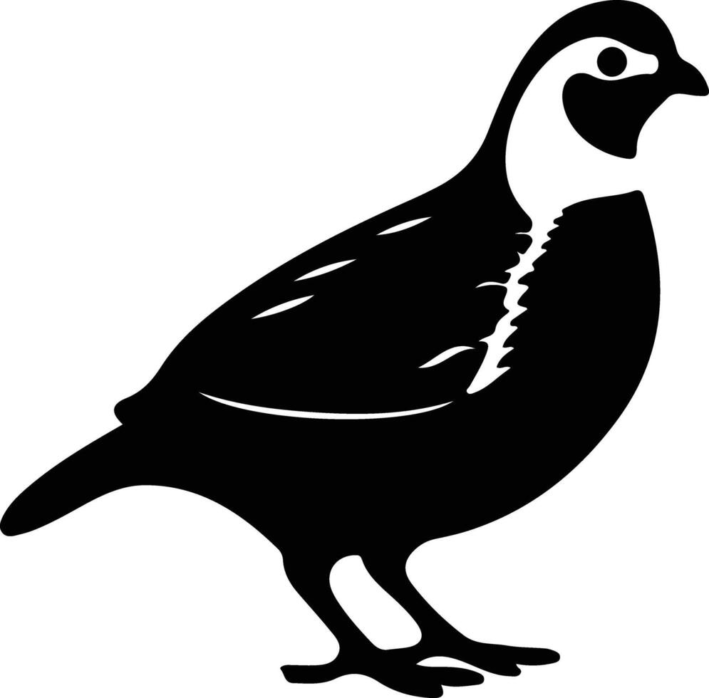 quail  black silhouette vector