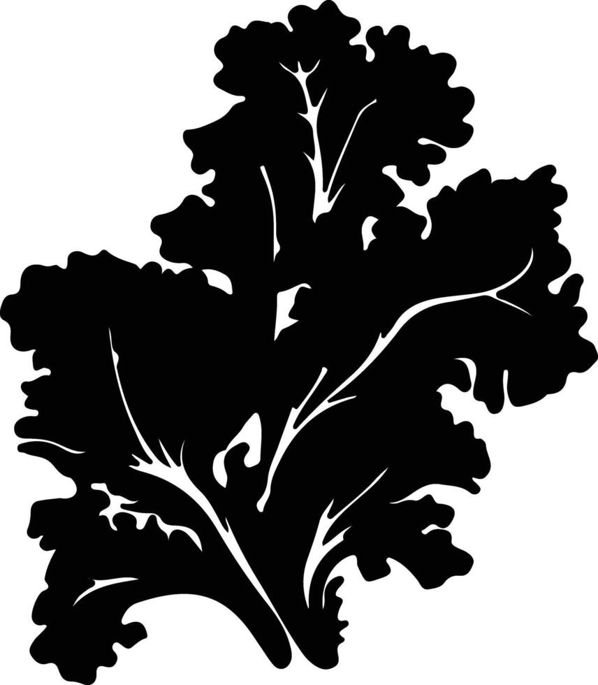 collard greens  black silhouette vector