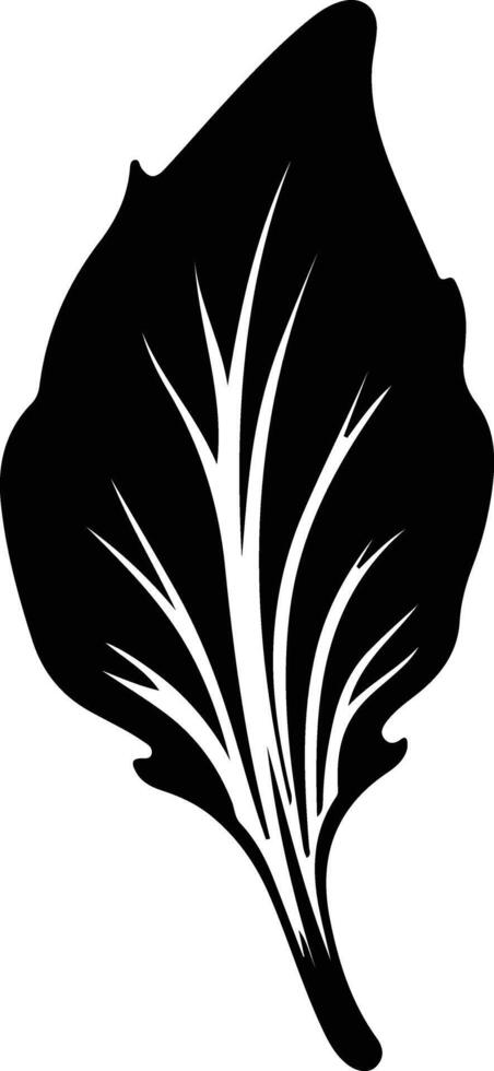 endive  black silhouette vector