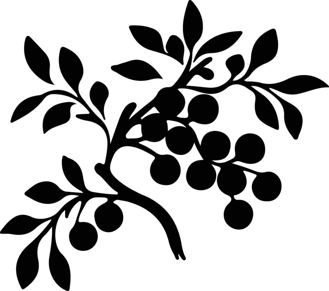 cranberry  black silhouette vector