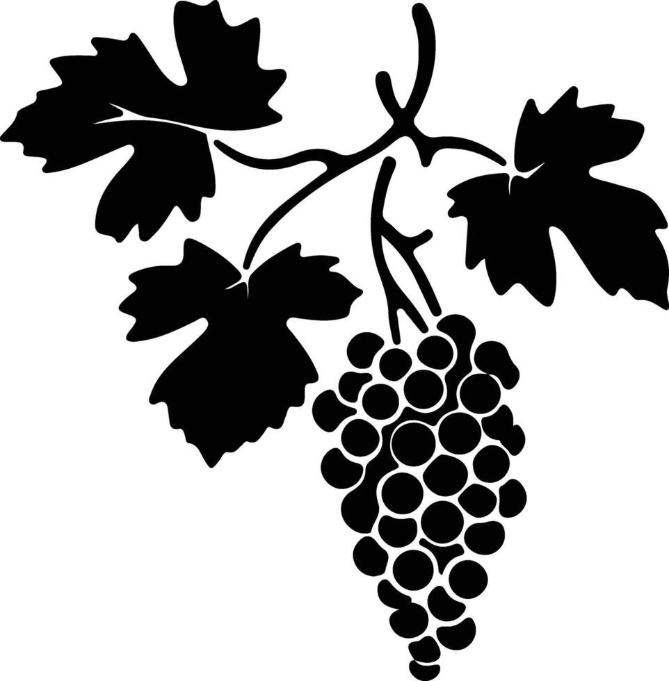 grape  black silhouette vector