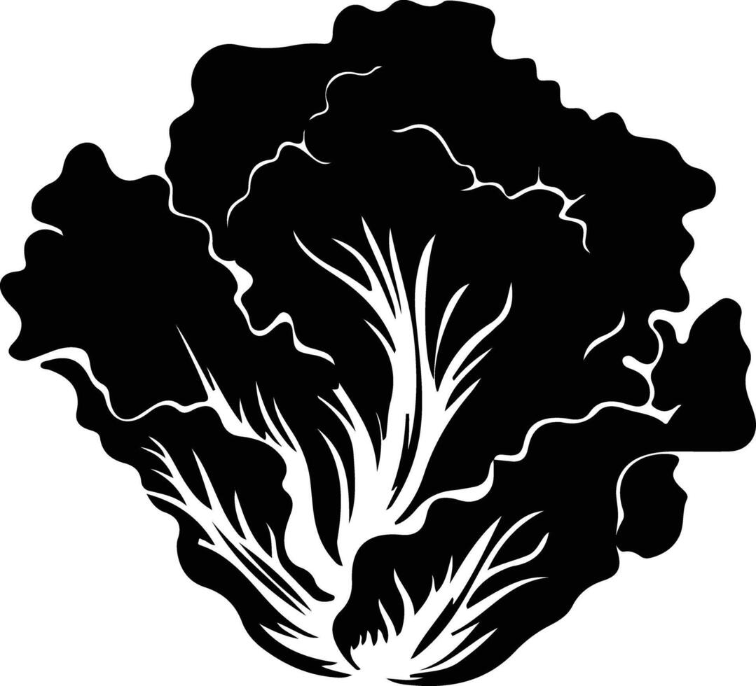 iceberg lettuce  black silhouette vector