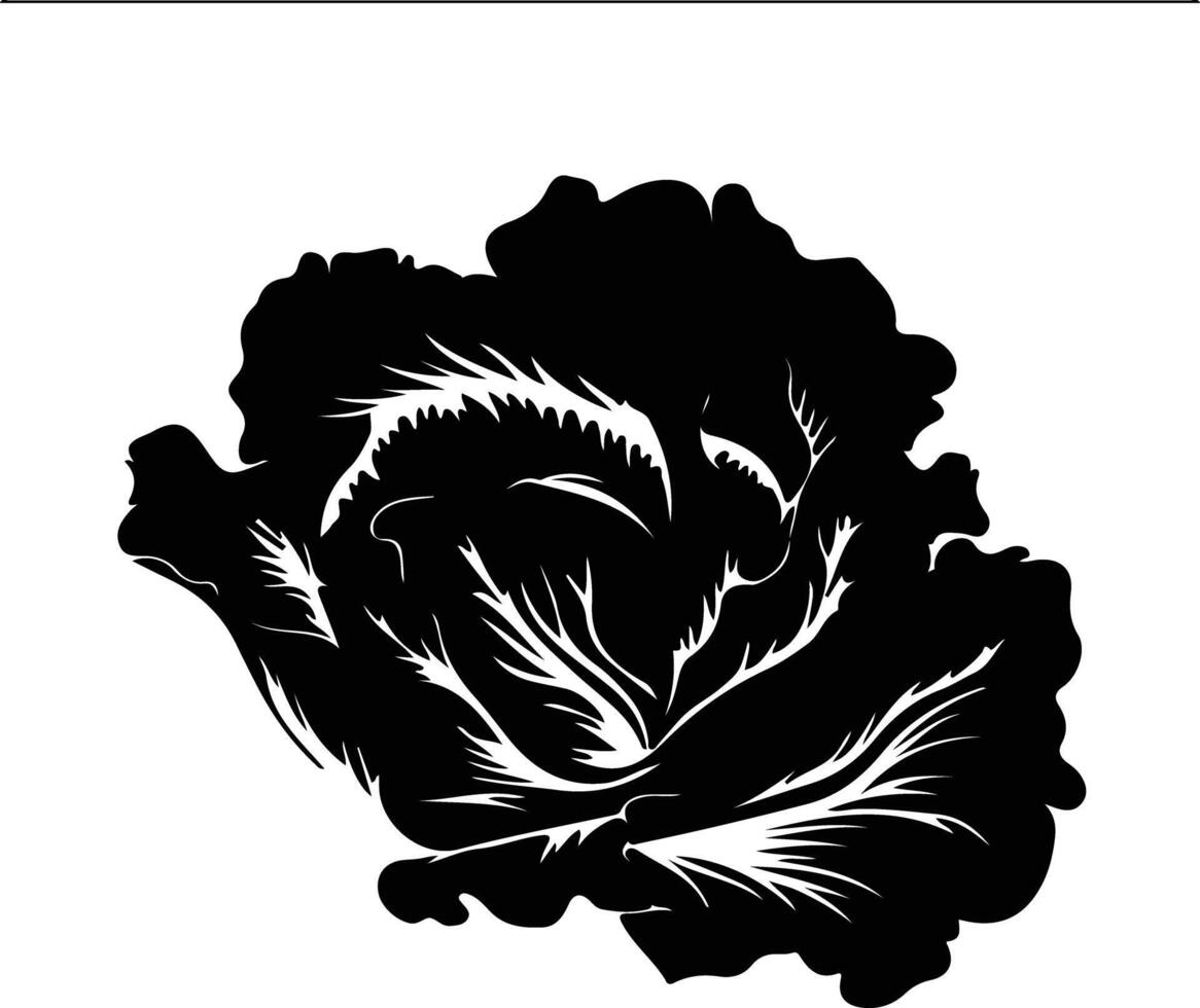 iceberg lettuce  black silhouette vector