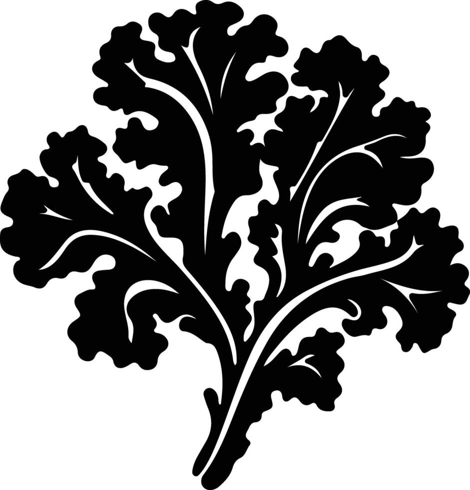 kale  black silhouette vector