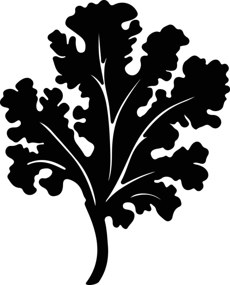 kale  black silhouette vector