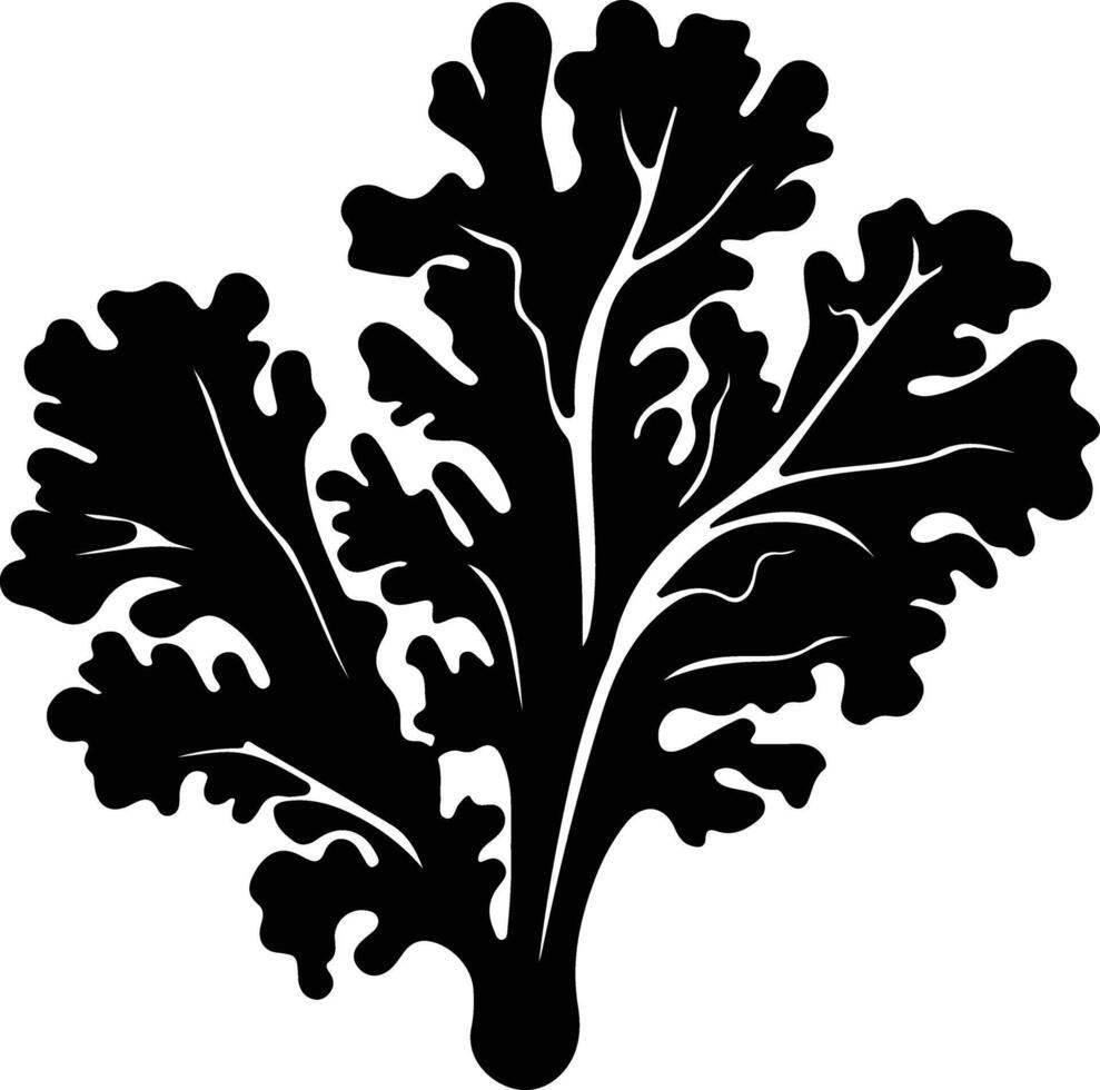 kale  black silhouette vector