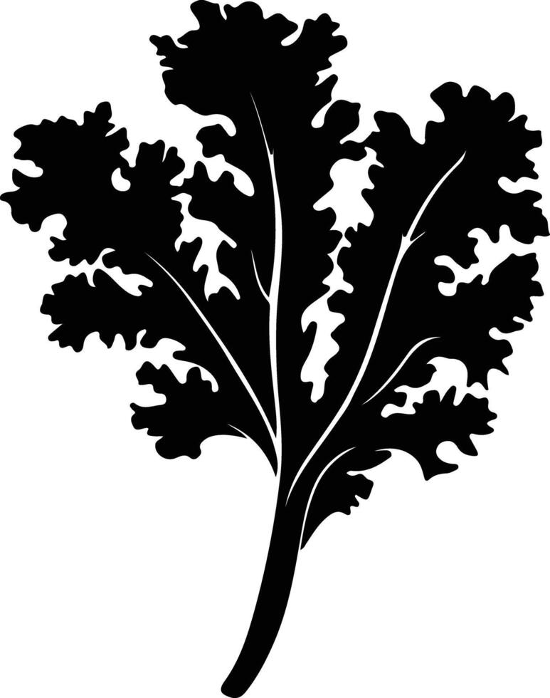 kale  black silhouette vector