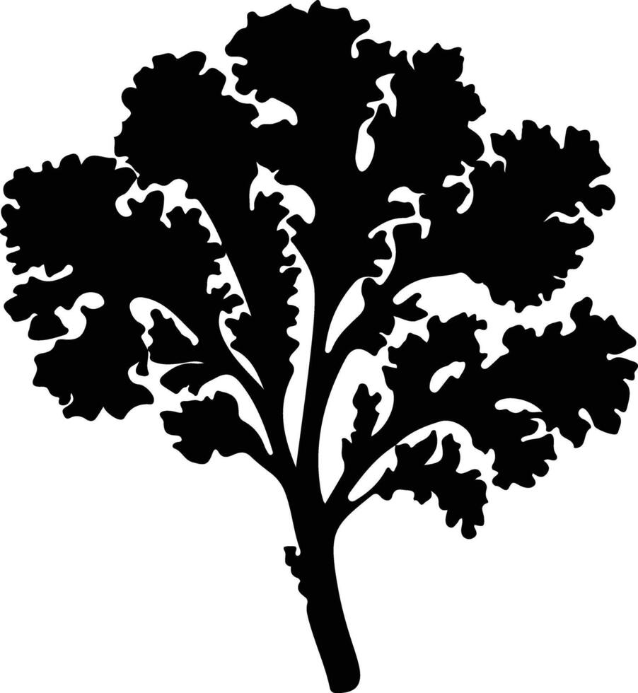 kale  black silhouette vector