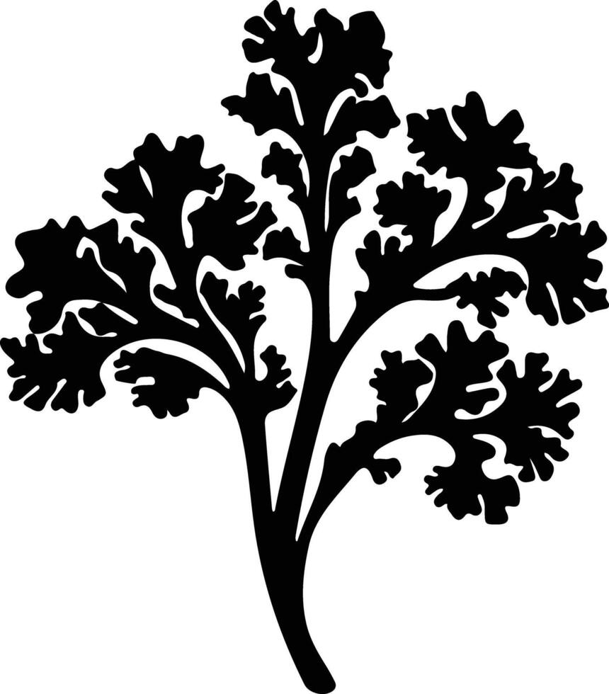 kale  black silhouette vector