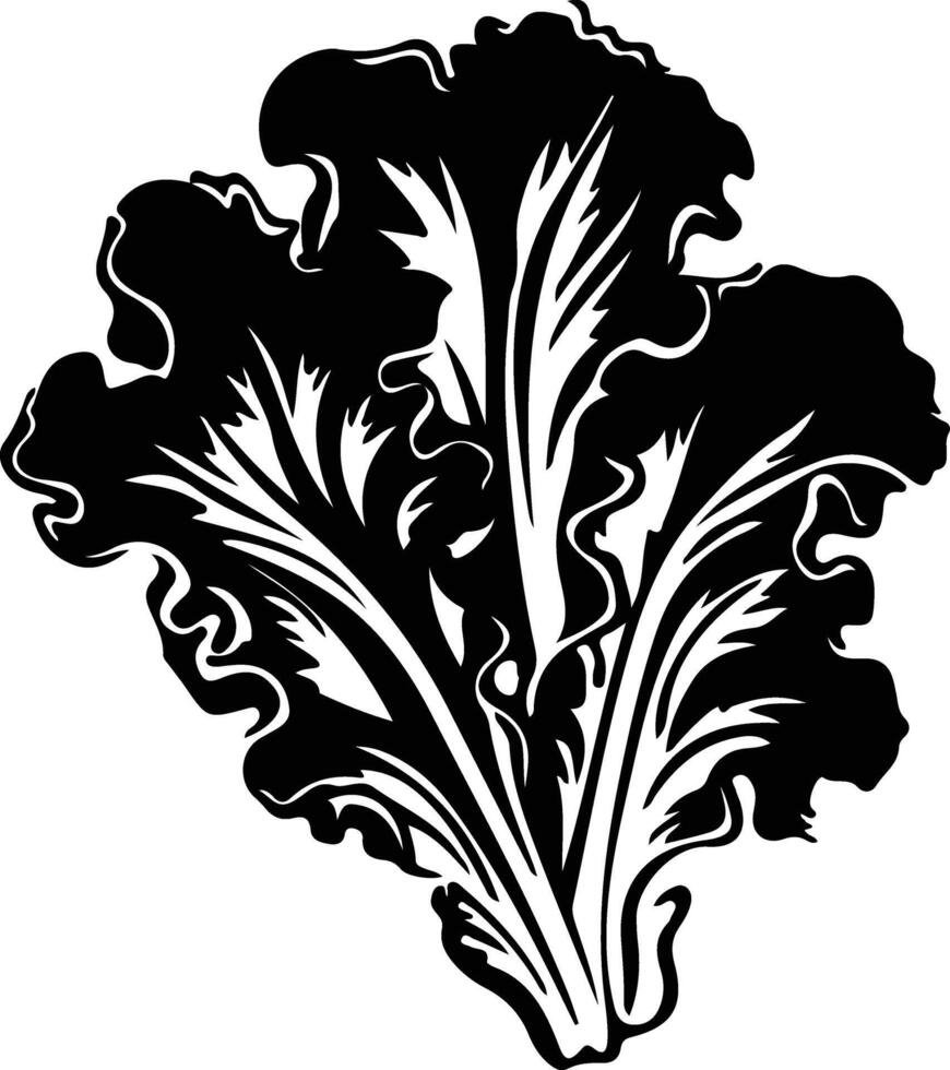 lettuce black silhouette vector