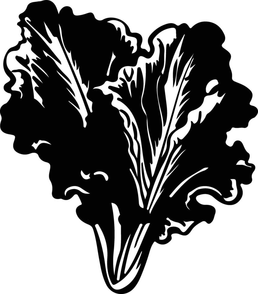 lettuce  black silhouette vector