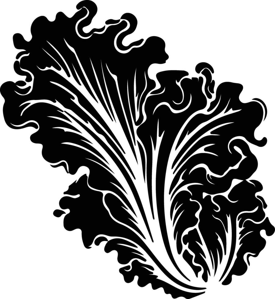 lettuce  black silhouette vector