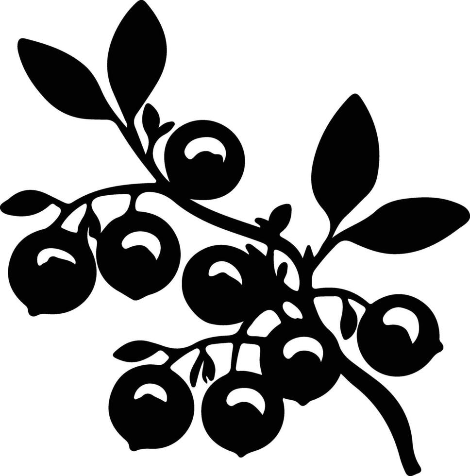 lingonberry  black silhouette vector