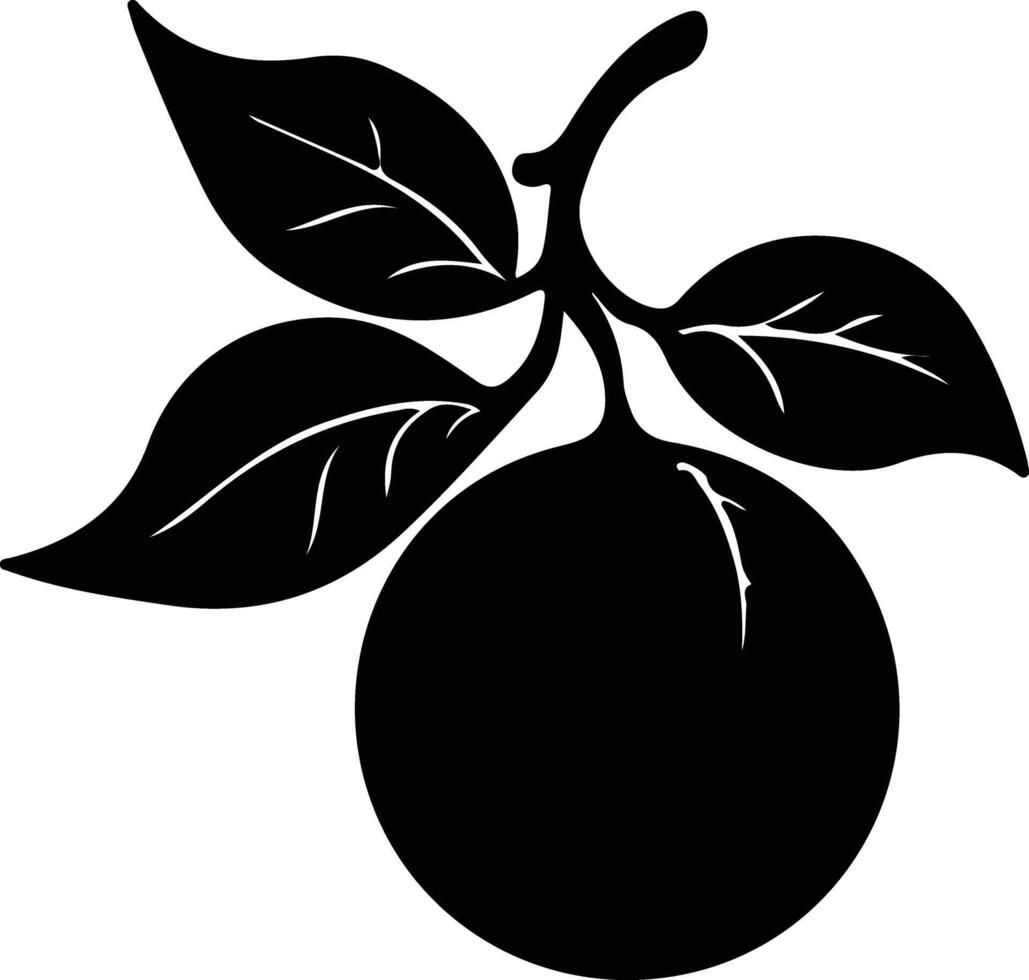 mandarin orange  black silhouette vector