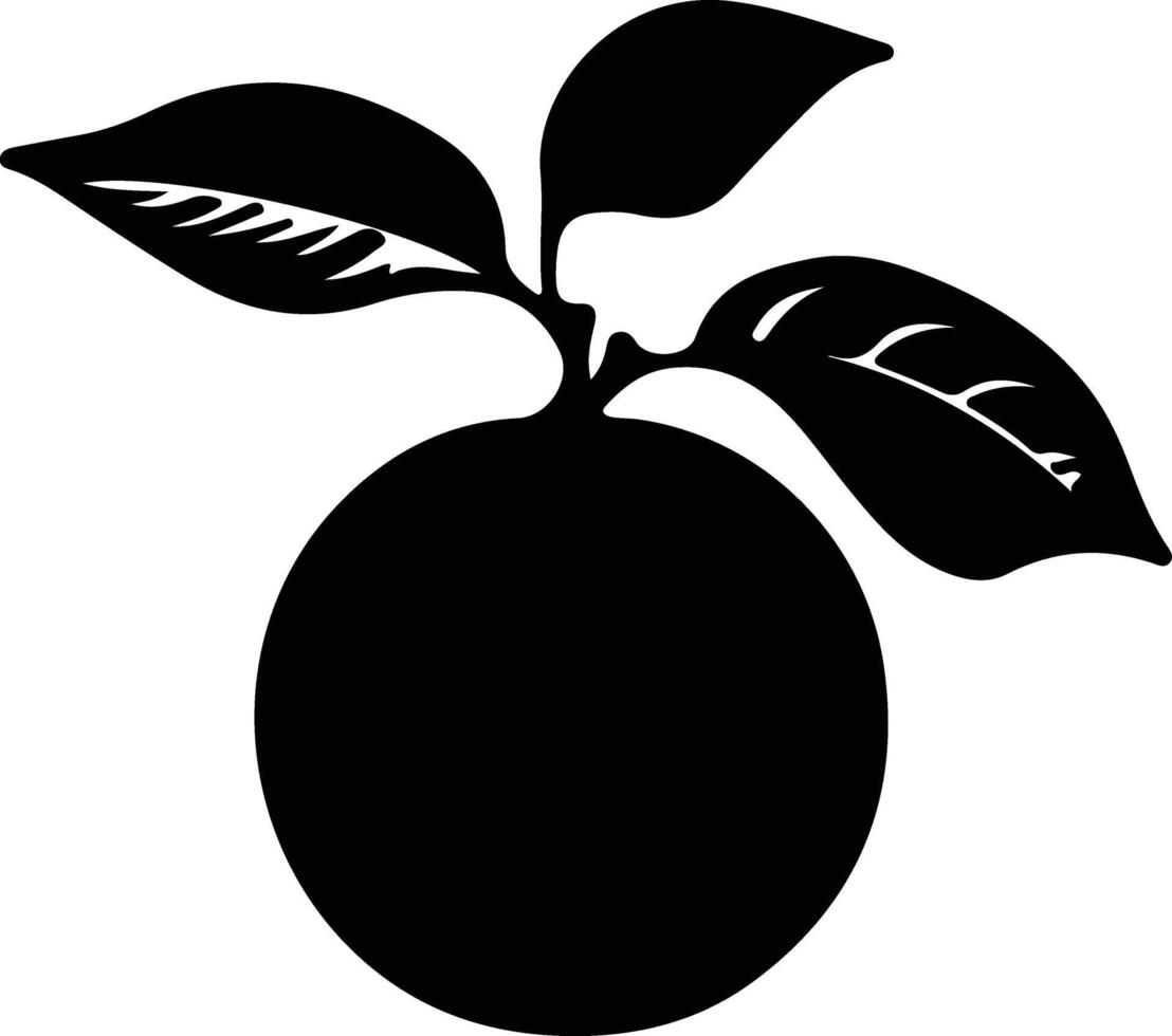 mandarin orange  black silhouette vector