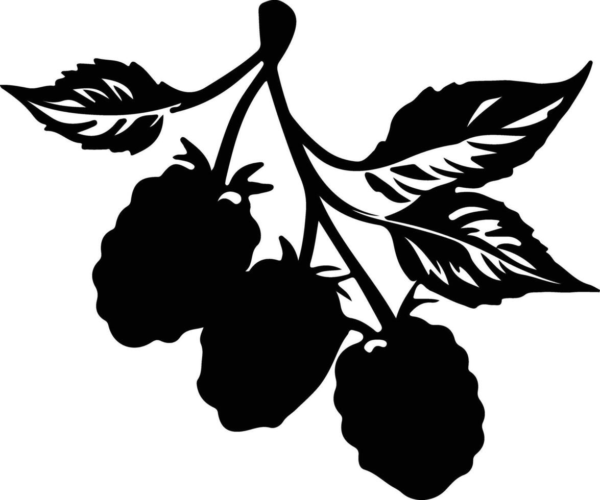 marionberry  black silhouette vector