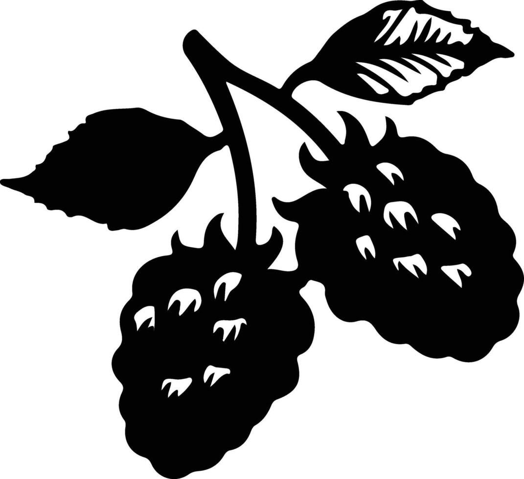 marionberry negro silueta vector