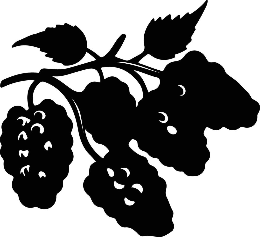 mulberry  black silhouette vector