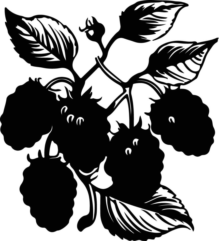 mulberry  black silhouette vector