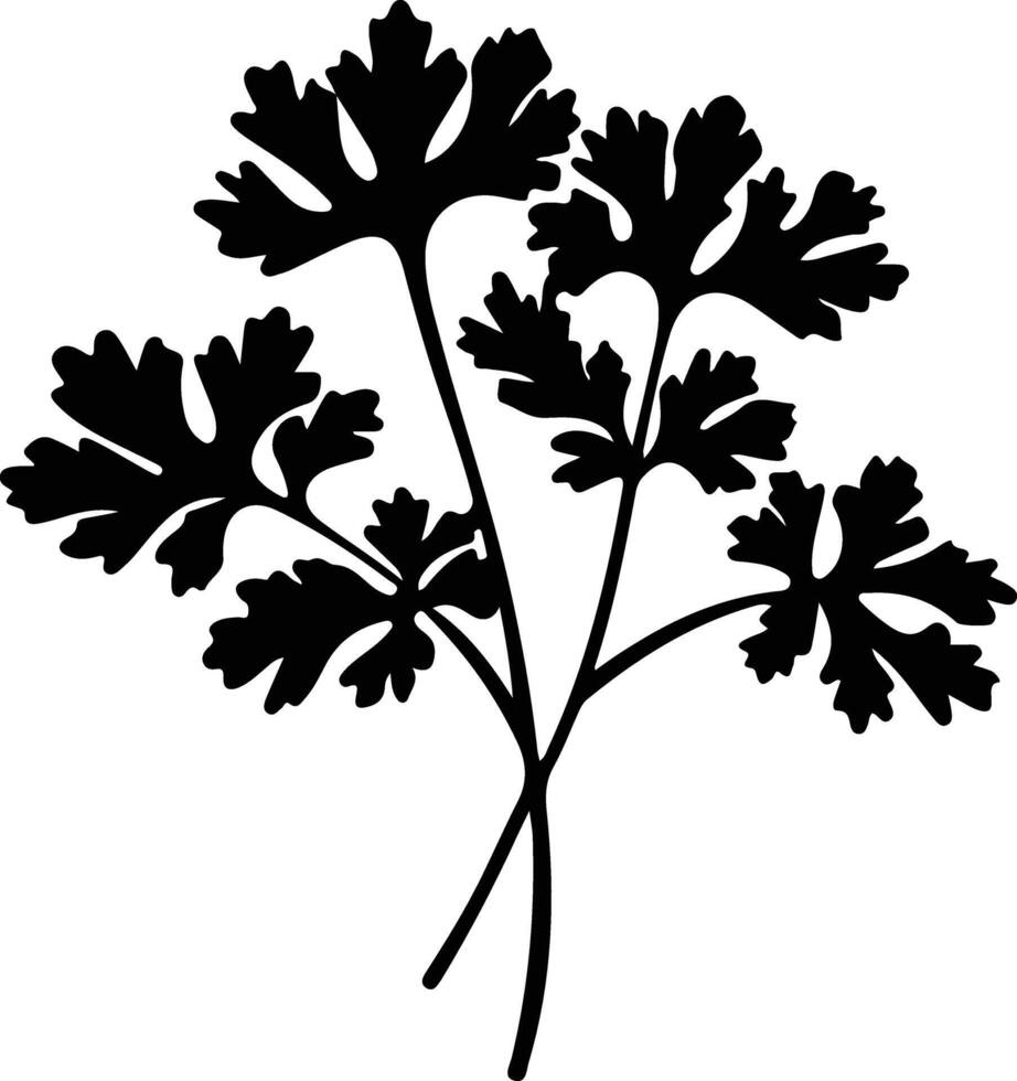 parsley  black silhouette vector