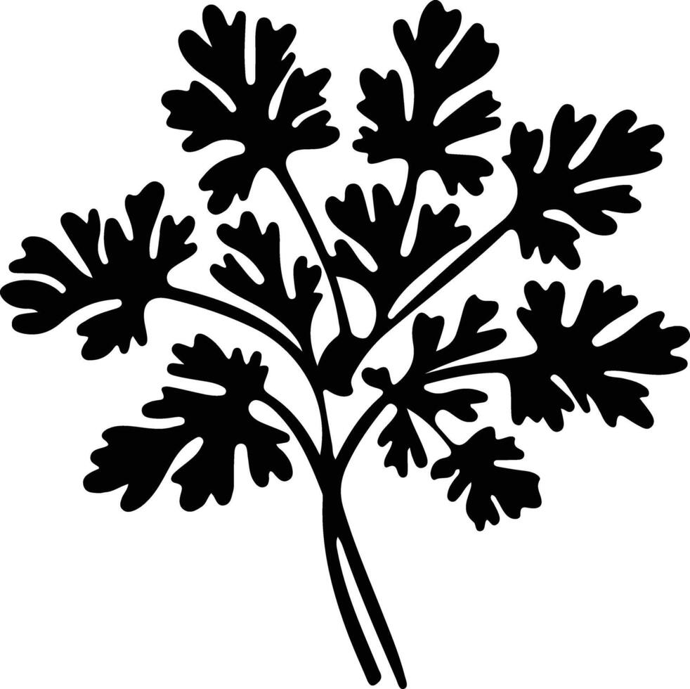 parsley  black silhouette vector