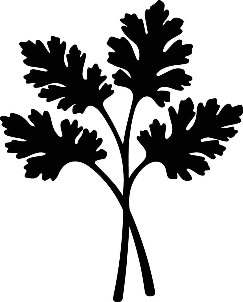 parsley  black silhouette vector