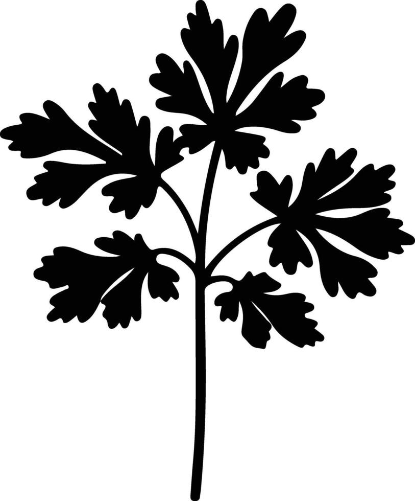 parsley  black silhouette vector